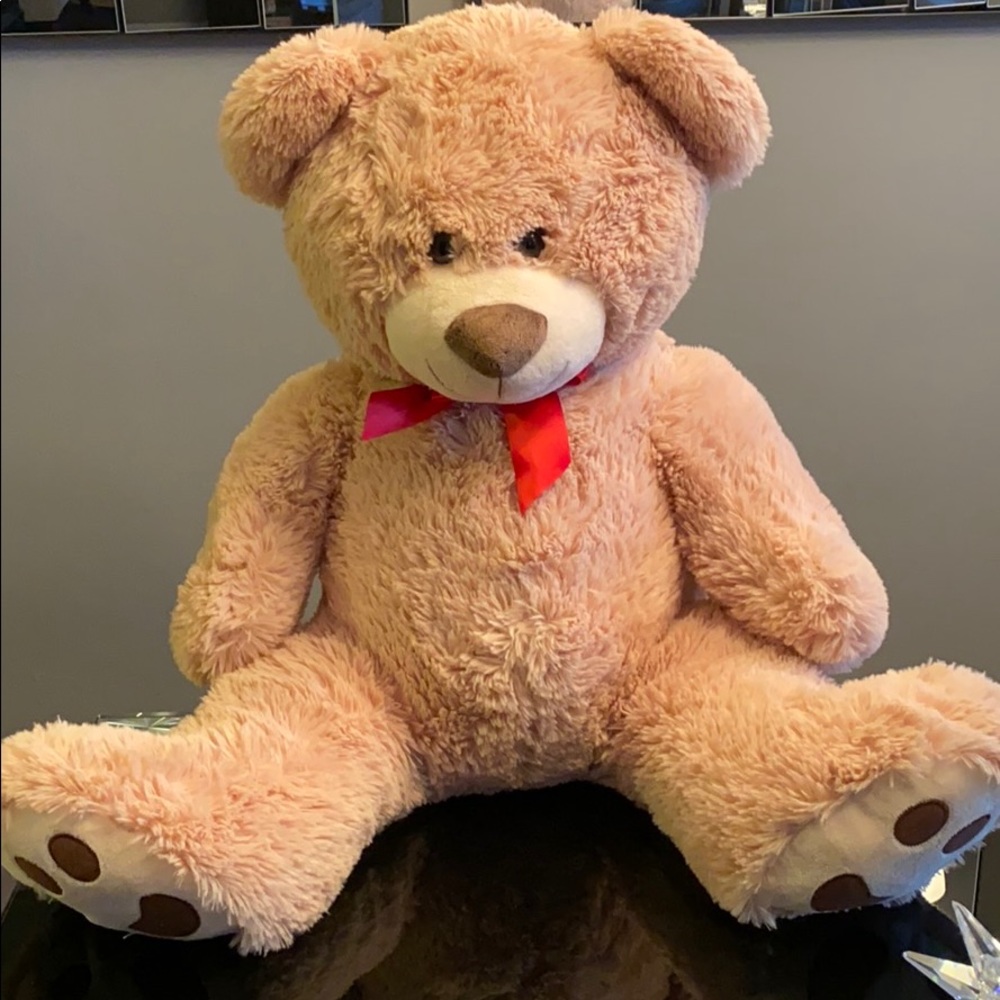 TEDDY Bear